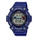 Casio WS-1300H-2AVCF