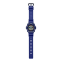 Casio WS-1300H-2AVCF