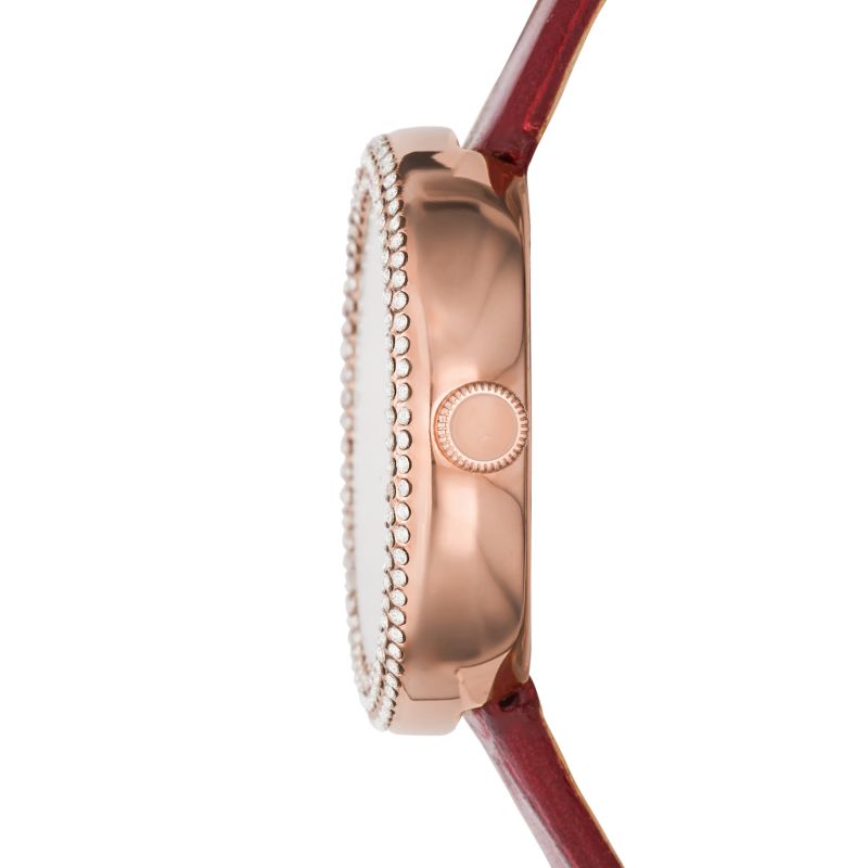 Emporio Armani AR11357 Ladies’ Watch